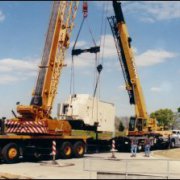 Cranes In Action